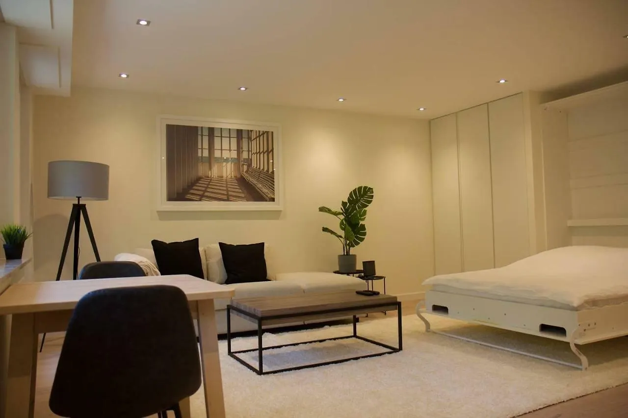 Fully Renovated Studio Flat With Own Parking contacts