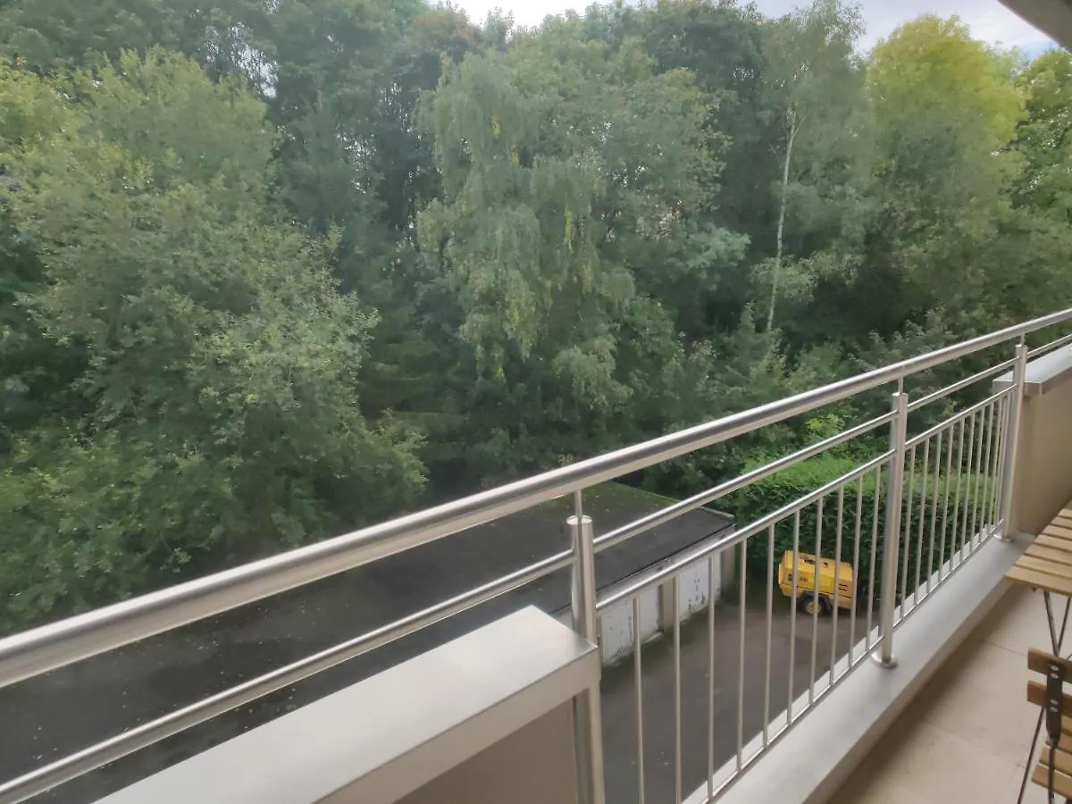 Fully Renovated Studio Flat With Own Parking Apartment Luxembourg Luxembourg